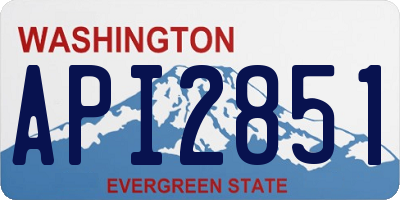 WA license plate API2851