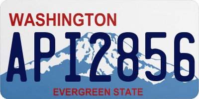 WA license plate API2856