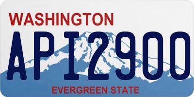 WA license plate API2900