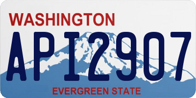 WA license plate API2907