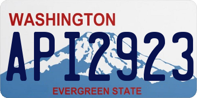WA license plate API2923