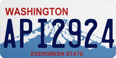 WA license plate API2924