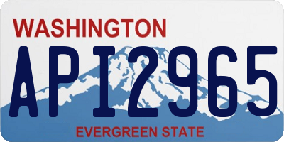 WA license plate API2965