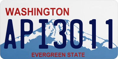 WA license plate API3011