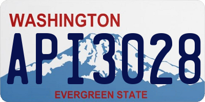 WA license plate API3028
