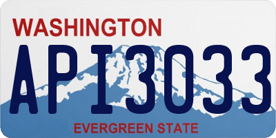 WA license plate API3033