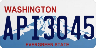 WA license plate API3045