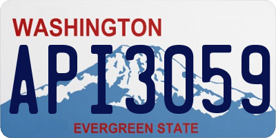 WA license plate API3059