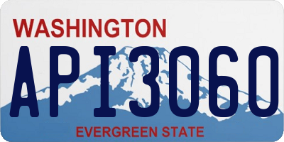 WA license plate API3060