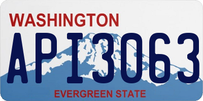 WA license plate API3063