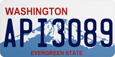 WA license plate API3089