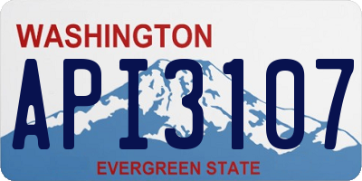 WA license plate API3107