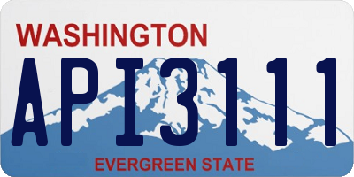 WA license plate API3111