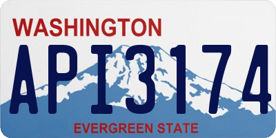 WA license plate API3174