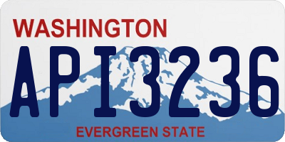 WA license plate API3236