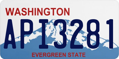 WA license plate API3281