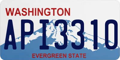 WA license plate API3310