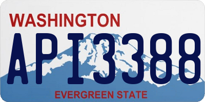 WA license plate API3388