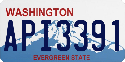 WA license plate API3391