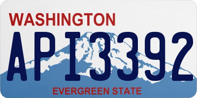 WA license plate API3392