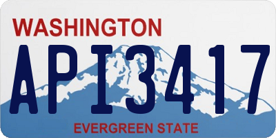 WA license plate API3417