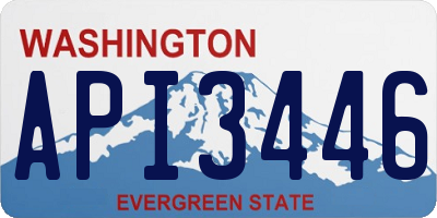 WA license plate API3446