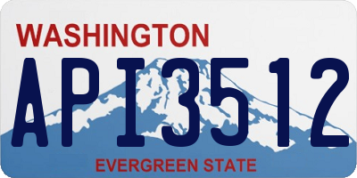 WA license plate API3512