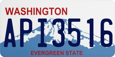WA license plate API3516