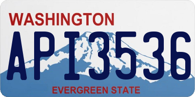 WA license plate API3536