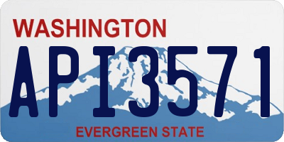 WA license plate API3571