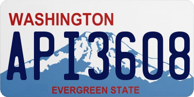WA license plate API3608