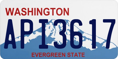 WA license plate API3617