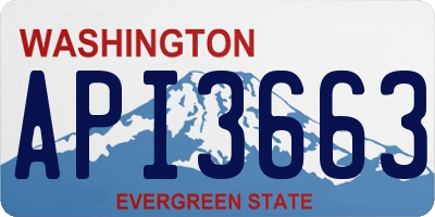 WA license plate API3663