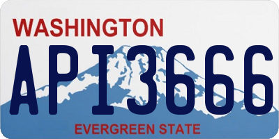 WA license plate API3666