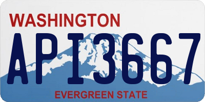 WA license plate API3667