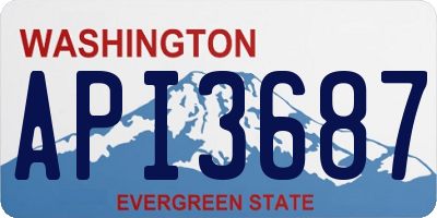 WA license plate API3687