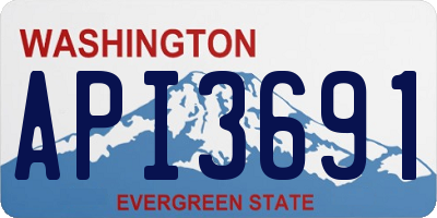 WA license plate API3691