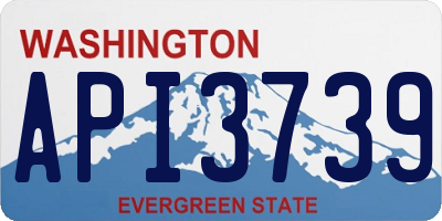 WA license plate API3739