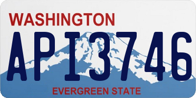 WA license plate API3746