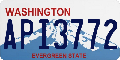 WA license plate API3772