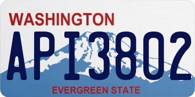 WA license plate API3802
