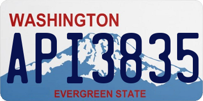 WA license plate API3835