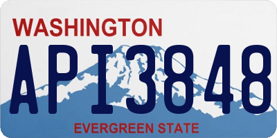 WA license plate API3848