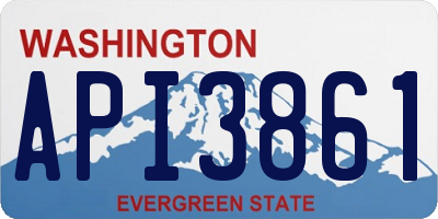 WA license plate API3861