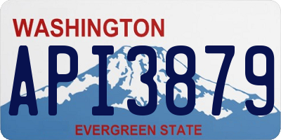 WA license plate API3879