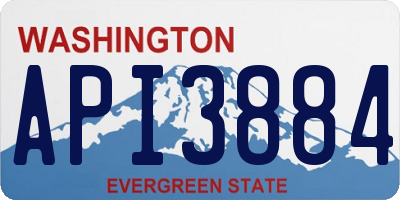 WA license plate API3884