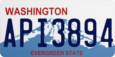 WA license plate API3894