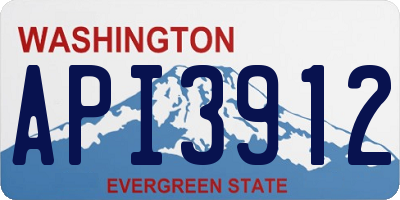 WA license plate API3912