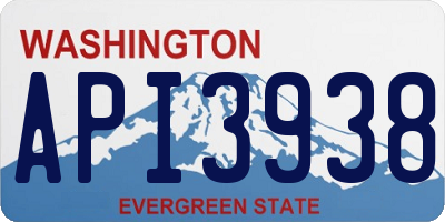 WA license plate API3938