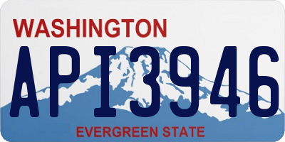 WA license plate API3946